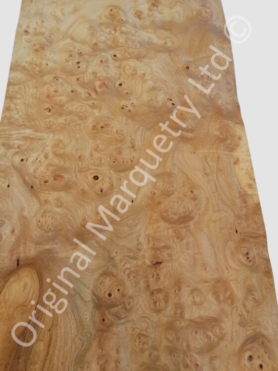 Burr Elm Wood Veneer - Image 2
