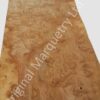 Burr Elm Wood Veneer