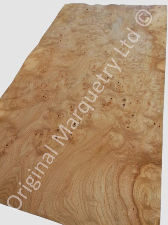 Burr Elm Wood Veneer - Image 2