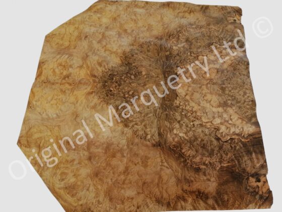 European Burr Walnut Wood Veneer