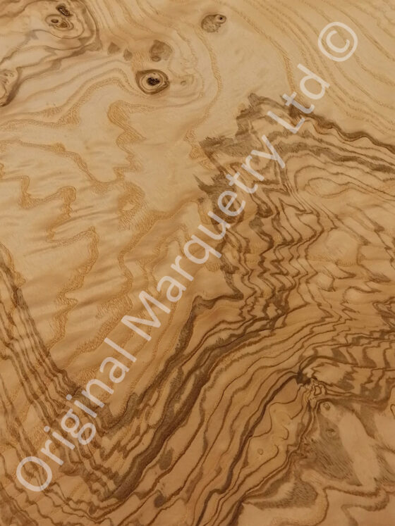 Olive Ash Burr Wood Veneer - Image 2