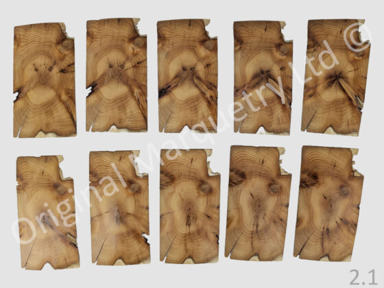 Yew Tree Oyster Wood Veneer 1.5mm