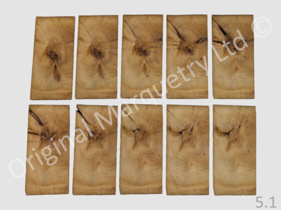 Yew Tree Oyster Wood Veneer 1.5mm