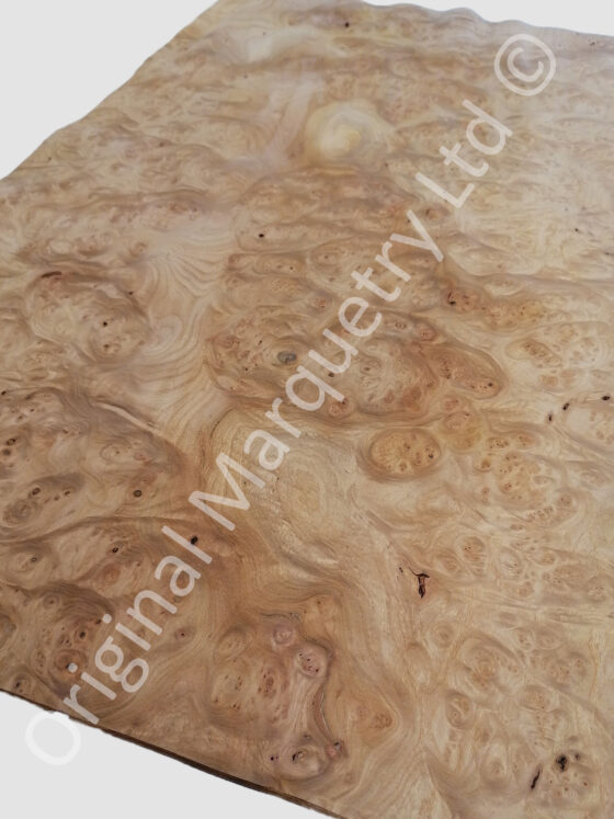Burr Elm Wood Veneer - Suitable for Tabletop - Image 2