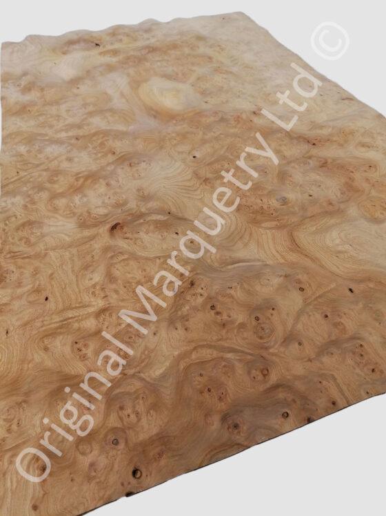 Burr Elm Wood Veneer - Suitable for Tabletop - Image 3