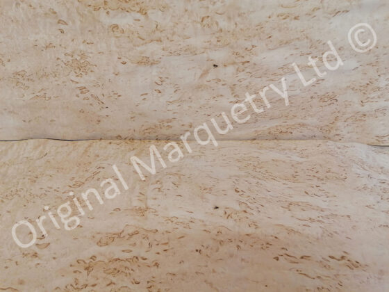 Masur Birch Wood Veneer - Image 3