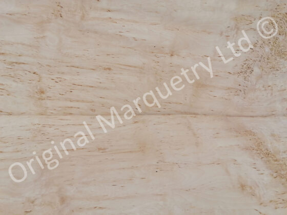Masur Birch Wood Veneer - Image 3