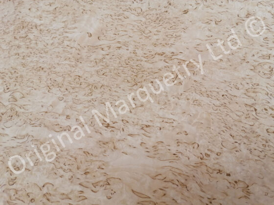 Masur Birch Wood Veneer - Image 2