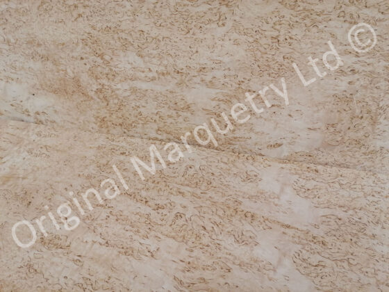 Masur Birch Wood Veneer - Image 3
