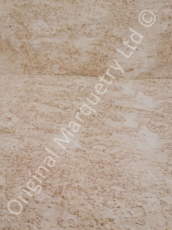 Masur Birch Wood Veneer - Image 4