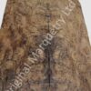 Burr Walnut Dashboard - American Burr Walnut Wood Veneer - Image 2