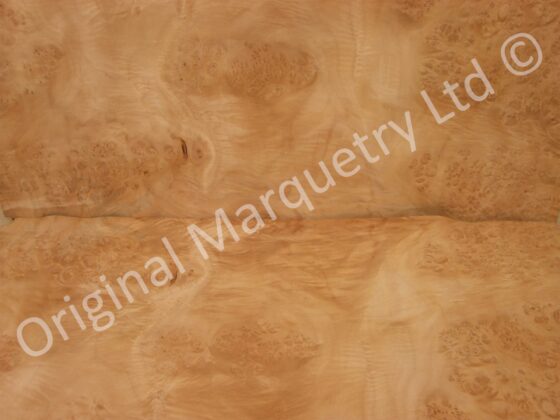 Burr Maple Cluster Wood Veneer - Image 2