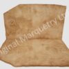 Burr Maple Cluster Wood Veneer