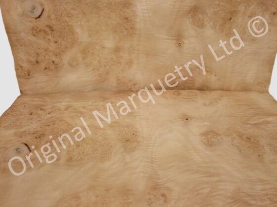 Burr Maple Cluster Wood Veneer - Image 2