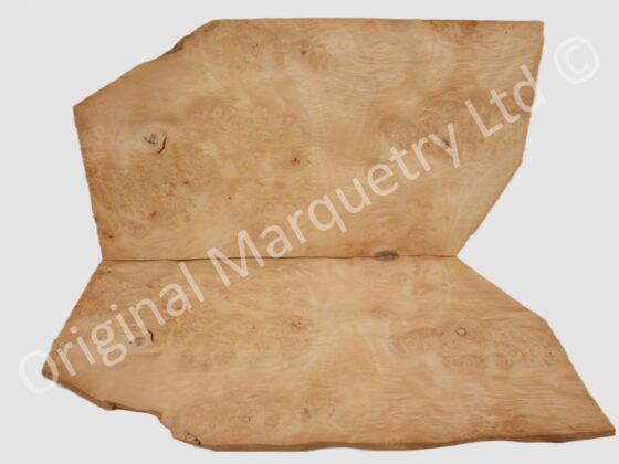 Burr Maple Cluster Wood Veneer