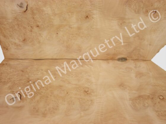 Burr Maple Cluster Wood Veneer - Image 2