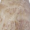 European Burr Oak Wood Veneer - Image 2