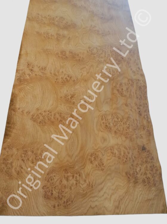European Burr Oak Wood Veneer