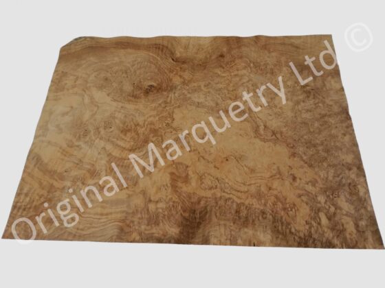 European Burr Walnut Wood Veneer