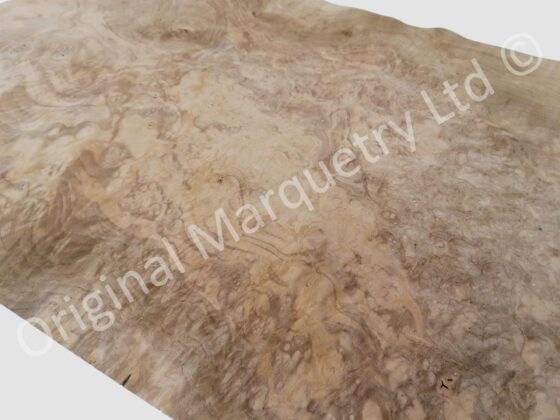 European Burr Walnut Wood Veneer - Image 2