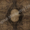 American Burr Walnut Wood Veneer - Image 2