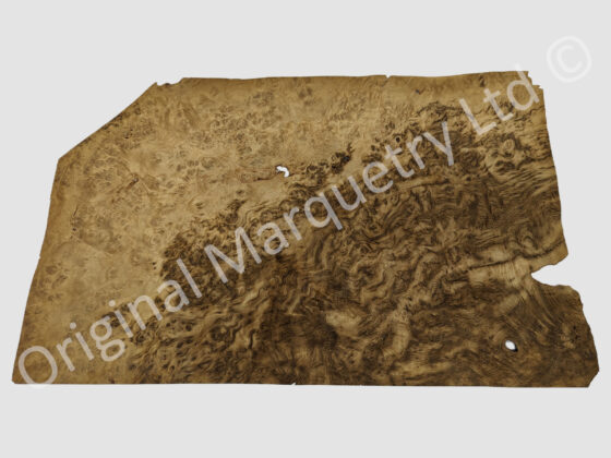 Brown Burr Oak Wood Veneer