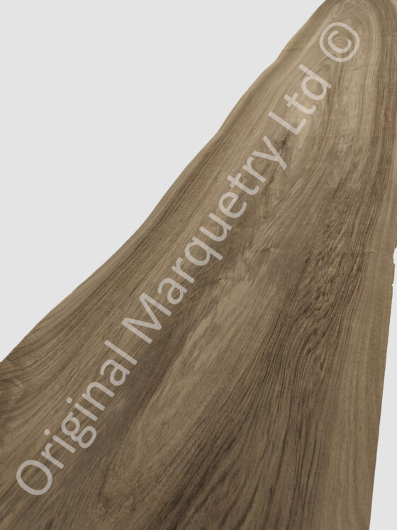 European Walnut Wood Veneer - Image 2