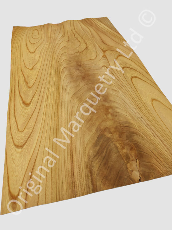 Japanese Elm Curl Wood Veneer