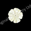 White Mother of Pearl Flower