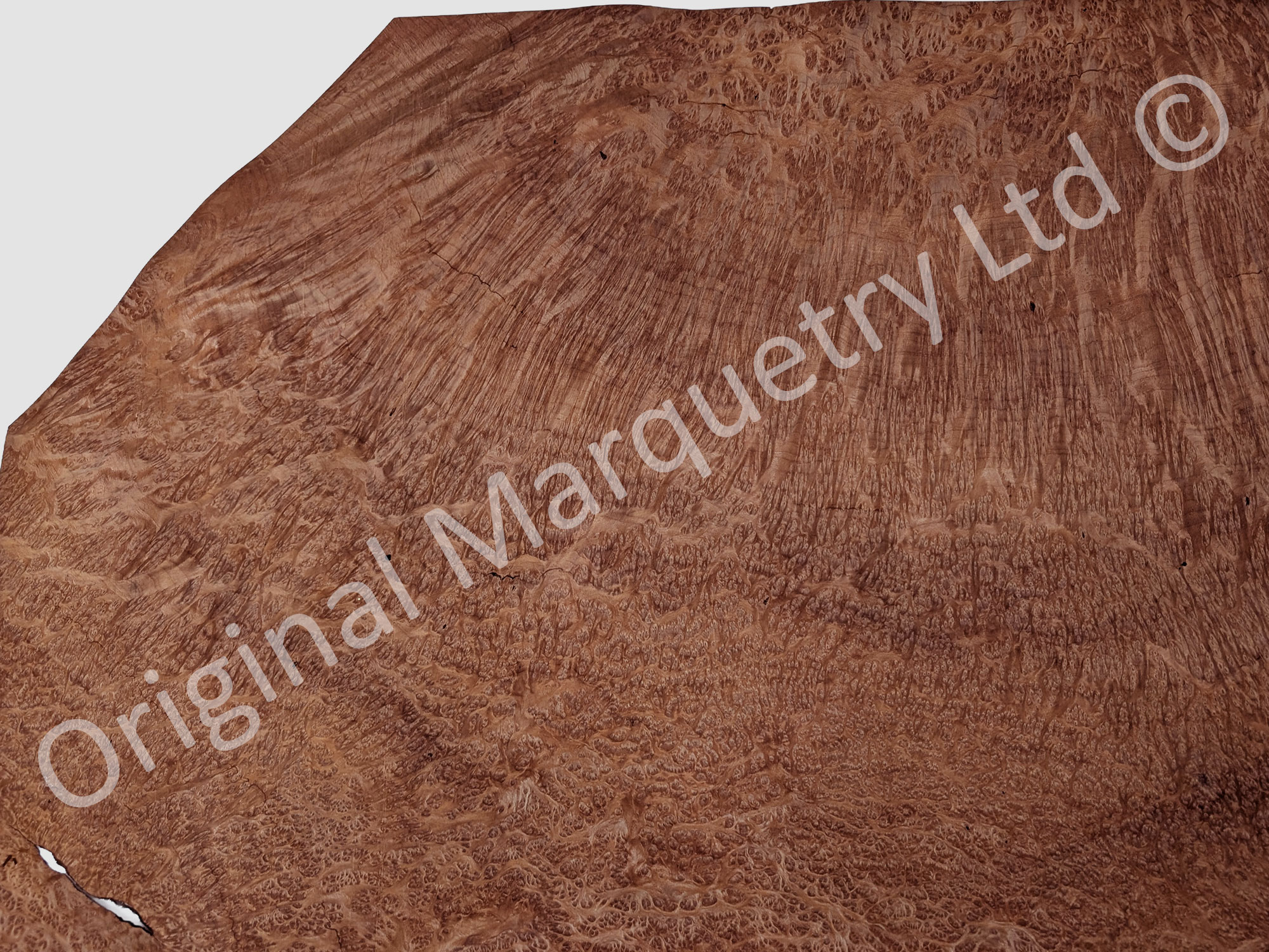 Vavona Burr Wood Veneer - Image 2